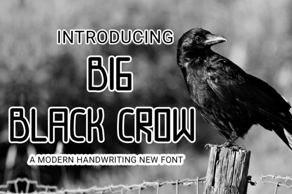 Big Black Crow Display Font for Bold Campaign Visuals